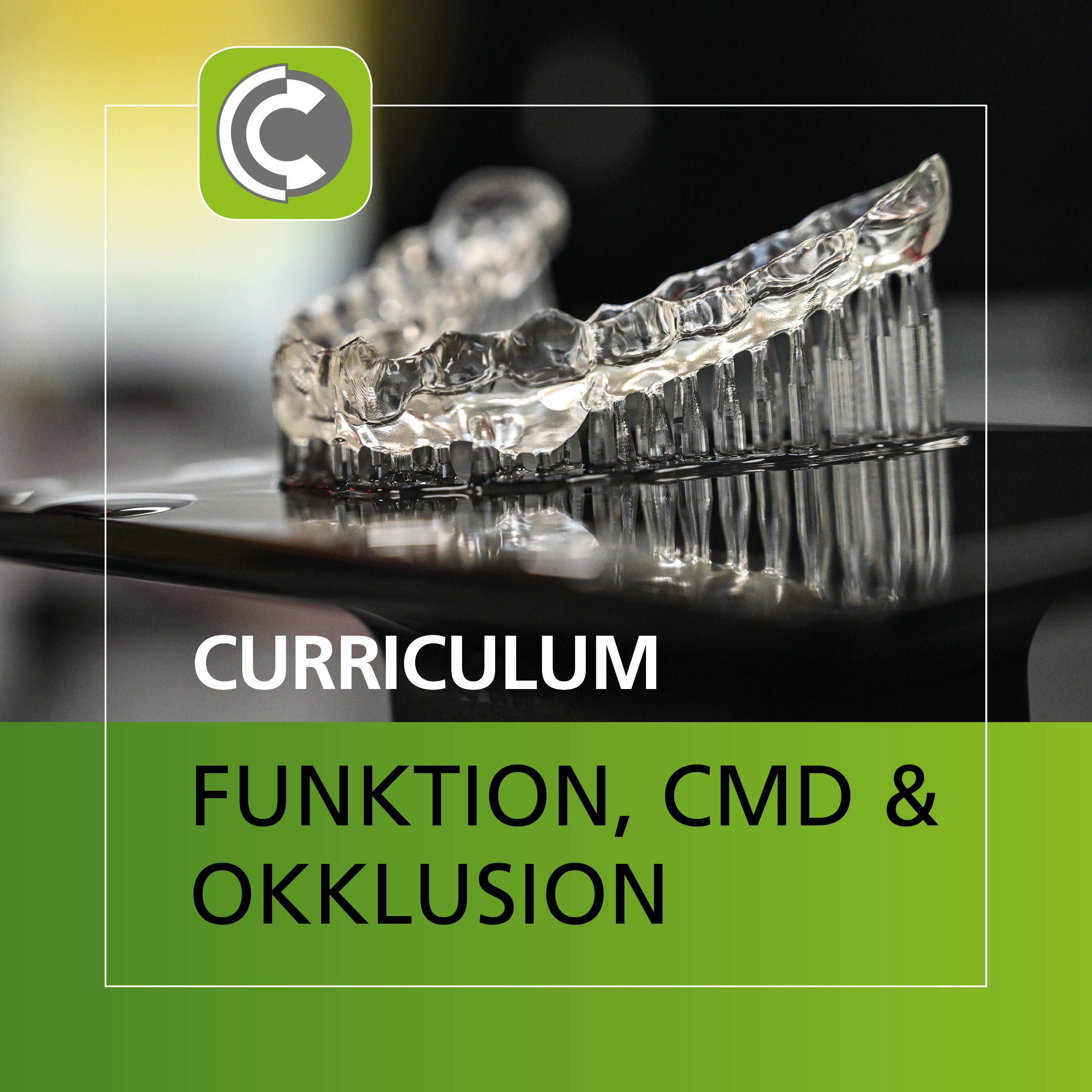 Curriculum FUNKTION, CMD & OKKLUSION